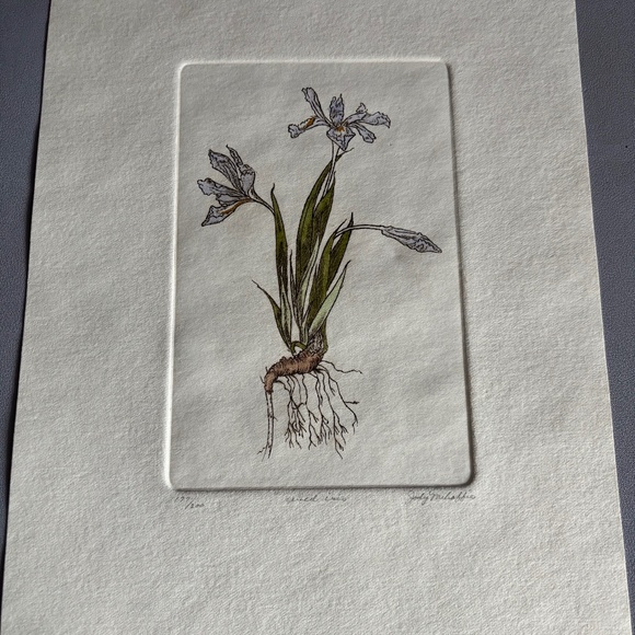 Wild Iris signed/numbered etching Jody Mehaffie - Picture 1 of 3